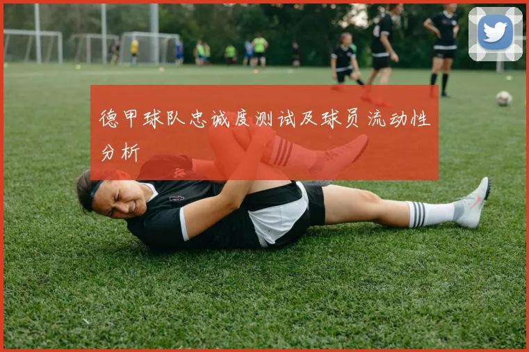 德甲球队忠诚度测试及球员流动性分析