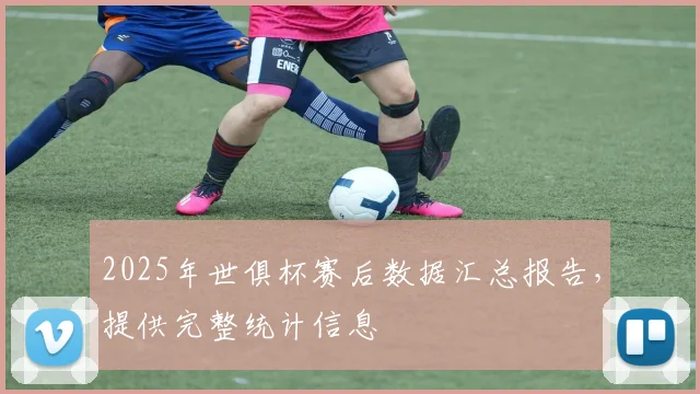 2025年世俱杯赛后数据汇总报告，提供完整统计信息