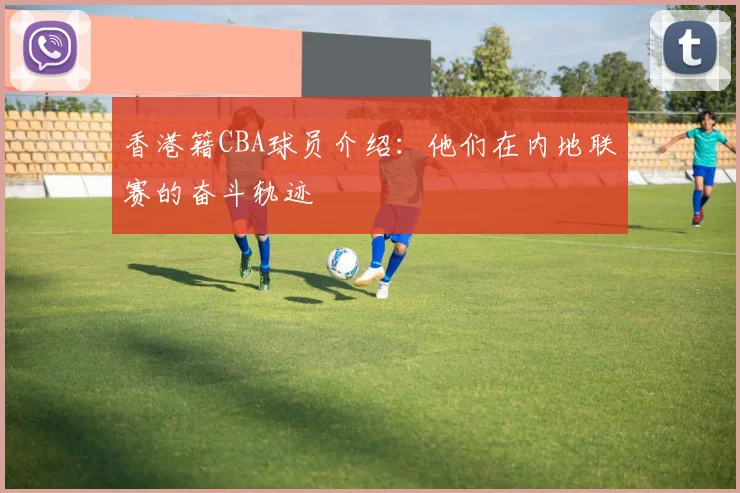 香港籍CBA球员介绍:他们在内地联赛的奋斗轨迹