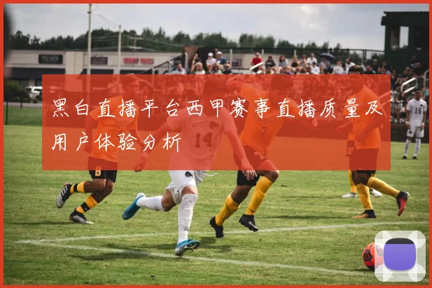 黑白直播平台西甲赛事直播质量及用户体验分析