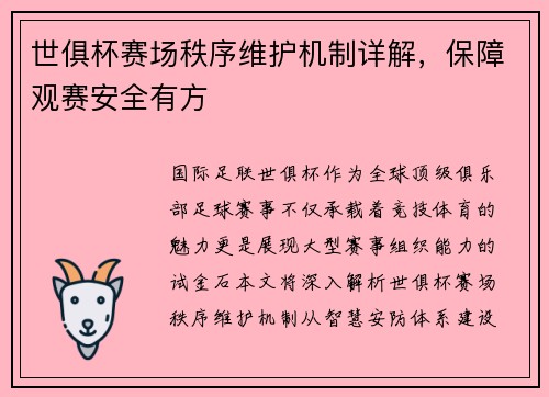 世俱杯赛场秩序维护机制详解，保障观赛安全有方